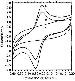 Cyclic voltammograms of the DNA probe labeled with aminoferrocene in 
0.01 mol L−1 TE solution, scan range 
−0.20–+0.60 V (vs. Ag/AgCl), scan rate 100 mV 
s−1. The concentration of the aminoferrocene labeled DNA 
probe was (a) 5.0 × 10−7 mol L−1 
and (b) 1.0 × 10−6 mol L−1. (c) The 
blank TE solution without the DNA probe labeled with aminoferrocene.