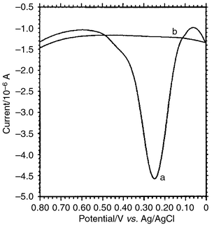 Differential pulse voltammograms of dsDNA/AFC electrode in a 0.01 mol 
L−1 blank TE solution, scan range, 0.00–+0.80 V 
(vs. Ag/AgCl), scan rate, 100 mV s−1. Chitosan 
amount (1.0% solution in 1.0% acetic acid), 2.0 μL; immobilization time, 
120 min; hybridization time, 60 min. The DNA probe labeled with AFC 
hybridizes with (a) denatured plasmid DNA electrode, (b) noncomplementary 
DNA electrode.