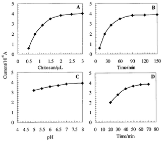 Effect of (A) chitosan amount, (B) immobilization time, (C) pH value and 
(D) hybridization time in a 0.01 mol L−1 blank TE 
solution. The DNA probe labeled with AFC was used as an indicator. Other 
conditions were the same as in Fig. 4. Each 
value was the mean of at least seven replicate measurements.