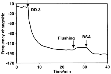 Time dependence of the frequency changes of a DTSP modified quartz 
crystal resonator in 5.0 mM phosphate buffer solution at 25 °C, on 
addition of anti-dioxin antibody.