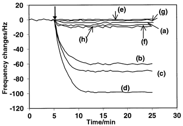 Typical response profiles of the anti-dioxin antibody modified sensor in 
the detection cell on reaction with (a) 5 μg mL−1 TCDD, 
(b) 2 μg mL−1 of competitor + 1 ng 
mL−1 TCDD, (c) 2 μg mL−1 competitor + 
0.2 ng mL−1 TCDD and (d) 2 μg mL−1 
competitor +0.02 ng mL−1 TCDD. Response of the control 
crystals: bare Au/crystal in reaction with 5 μg mL−1 
TCDD (e) and 2 μg mL−1 of competitor (f); 
DTSP–BSA modified Au/crystal in reaction with 5 μg 
mL−1 of TCDD (g) and 2 μg mL−1 of 
competitor (h). All the concentrations are the final concentration of 
analyte in the detection cell.