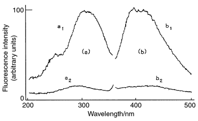 Fluorescence
excitation (a) and emission (b) spectra of the HPLC eluate of IST. a1
and b1, 12.8 µg ml−1; a2 and
b2, sample blank for a1 and b1, respectively.