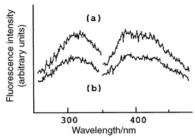 Fluorescence
excitation and emission spectra of the HPLC eluate of (a) standard peak (20.8
ng ml−1) and (b) component of IST peak in urine sample. Spectra
determined by Shimadzu Spectrofluorometer RF-5000.