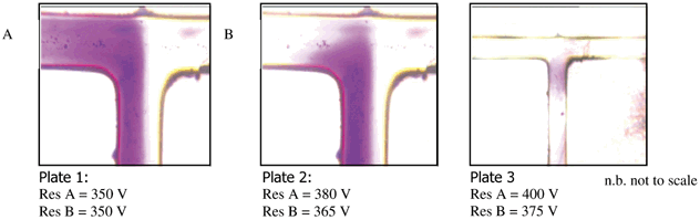 Photographs obtained from an optical microscope showing the Wittig 
reaction ylide intermediate formation under variable flow control.
