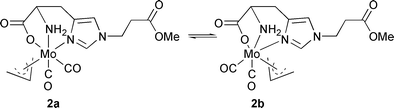 Molecular structure of the two isomers of 2.