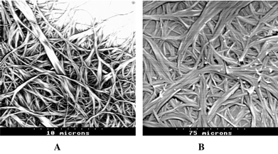 
          SEM of gels of (A) n-heptane and (B) toluene with 
1.
        