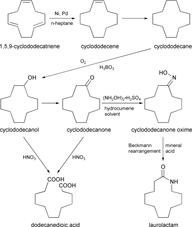cyclododecanol to cyclododecanone