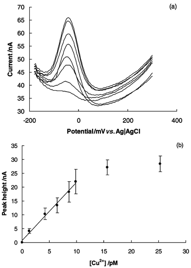 Response of the Gly-Gly-His modified electrode to complexed 
Cu(ii) (a) Osteryoung square wave voltammetry peaks showing an 
increase in current with copper concentrations of 0, 1.28, 4.2, 6.4, 8.6, 
9.8, 15.6, 25.3 pM and (b) calibration curve derived from the OSWV peaks 
with error bars as ±1 standard deviation of four electrodes prepared 
on different days. In all cases Cu(ii) was accumulated at the 
Gly-Gly-His modified electrode in an open circuit over 10 minutes in a 0.05 
M ammonium acetate buffer solution (pH 7.0) containing copper nitrate, 
removed, rinsed and then placed in a copper-free ammonium acetate buffer 
solution.