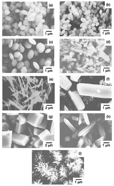 
            SEM photographs showing the different morphology of particles precipitated in the BaII–aminocarboxylate–Na2SO4 solutions after 2 h. The [acb]/[Ba2+] molar ratio was 2. Aminocarboxylates: (a) HIDA; (b) NTA; (c) HPDTA; (d) HEDTA; (e) EDTA; (f) TTHA; (g) EGTA; (h) PDTA; (i) CyDTA. Temperature: (a) 90 °C, (b)–(i) 150 °C. [SO42−]/[acb] molar ratio: (a) 0.1, (c) 0.5, (b),(d),(e),(g)–(i) 2, (f) 4.
          