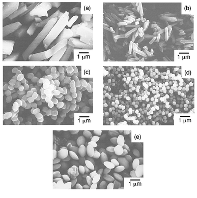 
              SEM photographs of BaSO4 particles precipitated in BaII(EDTA)2−–BaII(NTA)−–Na2SO4 solutions after 2 h at 150 °C. ([EDTA]⊕+⊕[NTA])
/[Ba2+]⊕=⊕2, [SO42−]/([EDTA]⊕+⊕[NTA])⊕=⊕2, [NTA]/[EDTA]: (a) EDTA only, (b) 1, (c) 3, (d) 7 and (e) NTA only.
            