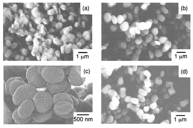 
                SEM photographs of BaSO4 particles precipitated in BaII(NTA)−–Na2SO4 solutions after 2 h. [NTA]/[Ba2+]⊕=⊕2, [SO42−]/[NTA]⊕=⊕0.5, at (a) 25 °C, (b) and (c) 90 °C and (d) 120 °C.
              