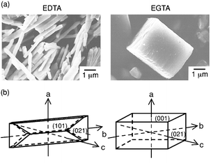 
              The morphology of BaSO4 precipitated in BaII–aminocarboxylate–Na2SO4 solutions: (a) SEM photographs, (b) schematic representation.
            