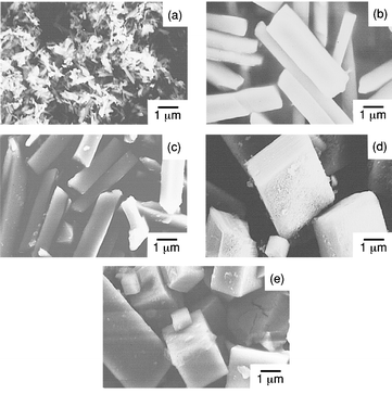 
              SEM photographs of BaSO4 particles precipitated in BaII(EDTA)2−–BaII(EGTA)2−–Na2SO4 solutions after 2 h at 150 °C. ([EDTA]+[EGTA])
/[Ba2+]⊕=⊕2, [SO42−]/([EDTA]⊕+⊕[EGTA])⊕=⊕5, [EGTA]/[EDTA]: (a) EDTA only, (b) 1, (c) 3, (d) 15 and (e) EGTA only.
            