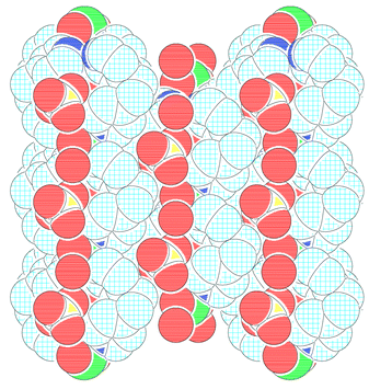 
          CPK diagram showing the cationic cavity filled with perchlorate anions and lattice water molecules.
        