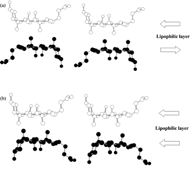 
          Schematic representation of the molecular orientation (a) antiparallel and (b) parallel in the lipophilic layer. The two ends of the molecule, that of the hydroxy group at the carbon 3-position and that of the carboxylic group, are distinguished as the head and tail, respectively. The heads of the arrows represent the head of cholic acid.
        