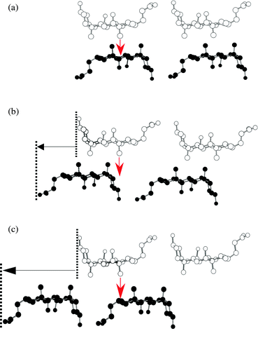 
          Schematic representation of sliding types for the lipophilic layers: (a)
α-, (b)
β- and (c) non interdigitation-type.
        