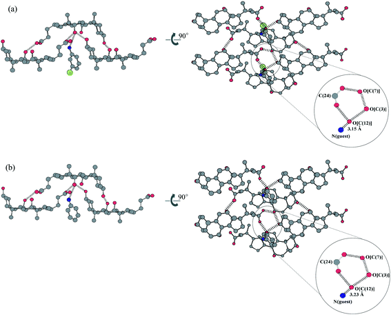 
          Hydrogen bond networks and the orientation of guest molecules within the channel of the hydrophilic layer for (a)
m-chloroaniline and (b) aniline. Carbon, oxygen, nitrogen and chlorine are represented in grey, red, blue and green, respectively. Hydrogen atoms are omitted for clarity.
        