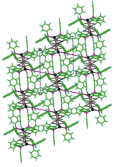 
            Overall packing of (Ph3P)2Ag(O2C2O2)Ag(PPh3)2 molecules and the hydrogen bonds (black and white candystripes) and 6PE (magenta rods) which link them, projected along the a axis. The intermolecular C–H⋯O bonds occur only in layers parallel to the ab plane, and the 6PE which occur at only one end of each molecule provide diagonal linkages between the layers.
          