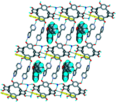 
          The three-dimensional, hydrogen-bonded framework of 2, formed by CMCR, bipyridine and water molecules, showing the guest benzophenone molecules. The bipyridine molecules linking the stepped sheets are shown in yellow. Click image or here to access a 3D representation.
        