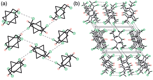 
          (a) Cl⋯Cl interactions in the layers of molecules 3 within the crystal (H atoms are omitted); (b) crystal packing of 3 viewed along the b-axis.
        