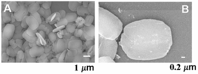 
          A and B – SEM micrographs at different magnifications recorded from BaSO4 crystals grown at the water–hexane interface with stearic acid molecules in the organic phase.
        