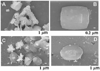 
          A and B – SEM images of BaSO4 crystals grown at the interface between water and chloroform, the organic phase containing stearic acid. C and D – SEM images of BaSO4 crystals grown at the water–chloroform interface, the organic phase containing octadecylamine.
        