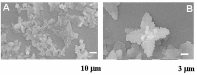 
          A and B – SEM images of BaSO4 crystals grown in a biphasic mixture of chloroform (without ionizable surfactant) and water in the control experiment.
        