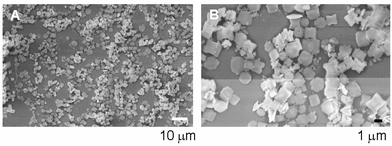 
          A and B – SEM images recorded from barite crystals grown at the interface between water and hexane with stearic acid in the organic phase at a supersaturation ratio of ca. 50.
        