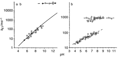 The rate constant for electron transfer from tyrosine to the 
photosensitiser as a function of pH (a) in an artificial Tyr–Ru 
complex 9.29 The solid line is a 
theoretical, Marcus-type function for the pH-dependence of the electron 
transfer rate constant; (b) in Mn-depleted PSII particles. Dashed lines are 
linear fits as guidance for the eye.