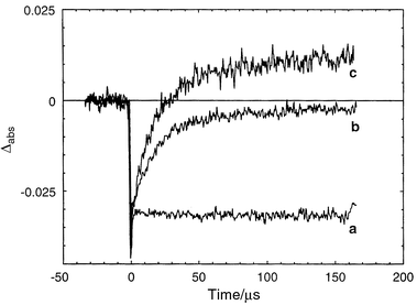 Transient absorption following a laser flash of 9, or its 
Ru–Ala analogue, with cobalt(iii)pentamine chloride as 
acceptor:21 (a) trace at 450 nm for 
Ru–Ala; (b) trace at 450 nm for 9; (c) trace at 410 nm for 
9. No regeneration of the Ru(ii) ground state was 
observed for the Ru–Ala complex (trace a). In 9, however, 
the Ru(ii) was regenerated (trace b) by electron transfer from 
the linked tyrosine. The tyrosine radical gives a positive absorption at 
410 nm at the end of the reaction (trace c, the signal in this trace is 
magnified by a factor 2.2, to help visualise the identical kinetics at 450 
and 410 nm).