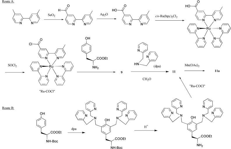 The general routes to summarise the synthetic procedures of complex 
9, 11 and 11a.