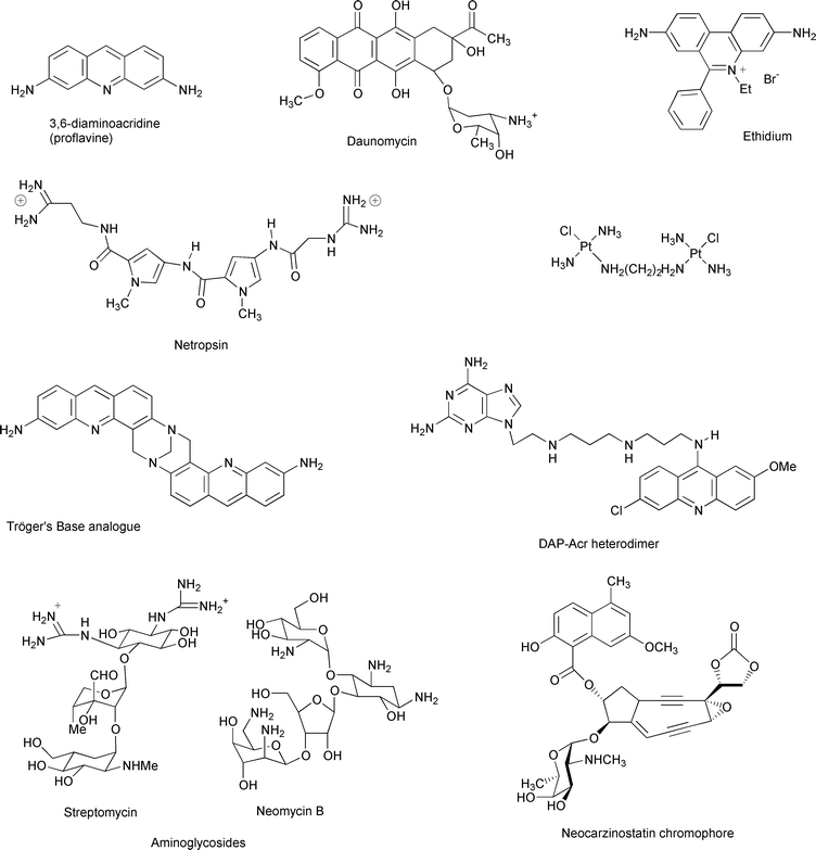 Representative binders of DNA and RNA secondary conformations