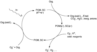 The photocatalytic cycle representing the reactions involved for both 
POM and SC.