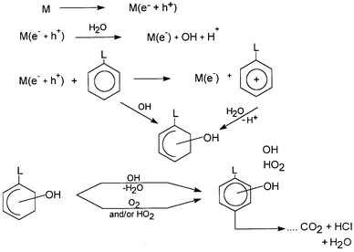 The common pathway of photodecomposition of an L-substituted aromatic 
compound, as used by several workers working with OH radicals. (Reprinted 
from ref. 24, with permission from Elsevier Science).
