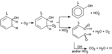 The mechanism of mineralization after an ortho OH addition in 
the L-substituted benzene ring, showing, also, the participation of 
dioxygen, according to Matthews.26 (Reprinted from ref. 24, with 
permission from Elsevier Science).