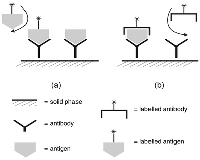 
            Outline of the format of (a) competitive and (b) noncompetitive
(immunometric) heterogeneous immune assays.
          