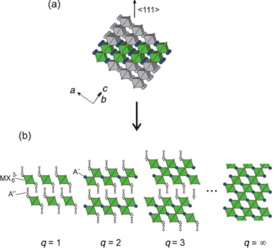 Schematic representation of the 〈111〉-oriented family of layered hybrid perovskites, A′2Aq−1MqX3q + 3. The layered perovskite framework is derived from the 3-D perovskite parent compound by (a) taking q layers from along the 〈111〉 direction of the 3-D structure and (b) alternately stacking these layers with organic cations.
