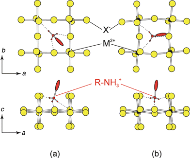 Two hydrogen-bonding schemes typically observed in the (RNH3)2MX4 and (NH3RNH3)MX4 type structures: (a) the bridging halide configuration and (b) the terminal halide configuration.5
