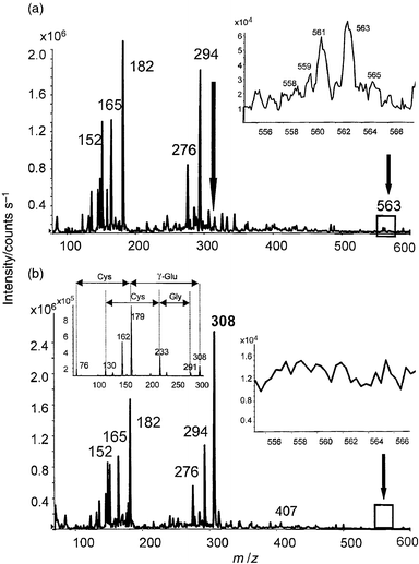 
            Electrospray MS-MS spectra of the fraction containing the m/z 563 peak (peak 3 in Fig. 2): (a) untreated fraction; and (b) fraction treated with DTT. The insets contain a zoom of the vicinity of the protonated molecular ion peak. Fragmentation of the 308 peak arising after the treatment with DTT is given in the inset of Fig. 5(b).
          