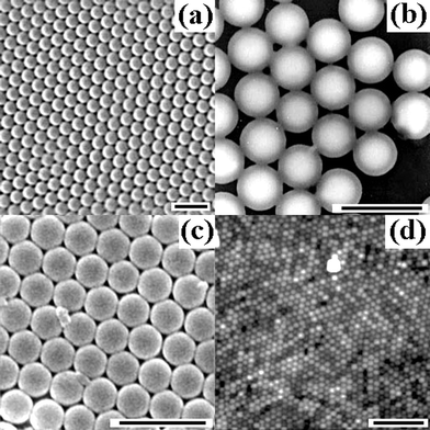 (a) SEM image
of opal formed using an ultracentrifuge. Scale bar = 1 µm. (b)
TEM image of calcined, uncompacted silica spheres showing the formation of “necks”
between the spheres. Scale bar = 1 µm. (c)
High magnification SEM image of opal formed by the capillary method. Scale
bar = 1 µm. (d) Large area AFM image
of opal formed using the capillary method. Scale bar = 3 µm.