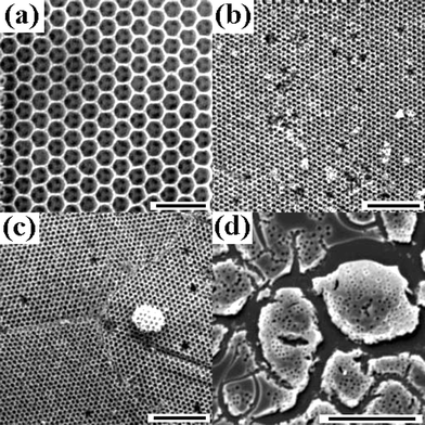 (a) SEM image
of inverse opal based on a close packed array of air spheres in a titania
matrix. Scale bar = 1 µm. (b) SEM
image showing considerable long range order in inverse opal formed using the
simple filtration technique. Scale bar = 5 µm. (c)
Image of the same crystal showing the presence of grain boundaries, dislocations
and point defects in the crystal. Scale bar = 5 µm. (d)
SEM image showing the break-up of the thin film inverse opal formed using
the capillary technique. Scale bar = 5 µm.