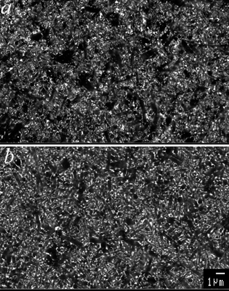 Back-scattered
electron scanning micrographs showing the microstructures of the β-sialon
with 10 vol% extra liquid forming material SPSed at 1700 °C
with no holding (a) and hot-pressed at 1750 °C for
2 hours (b). Needle-like grains are β-sialon,
white spots are due to the glass phase.