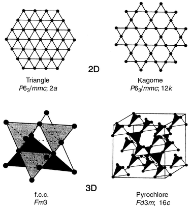 
            Some common frustrating lattices.13
          