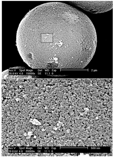shows SEM micrographs of the surfaces of the silica gel as a