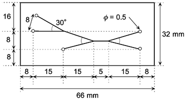 
            Layout and dimensions of the microchip. The microchannels were 100 µm deep and 250 µm wide.
          