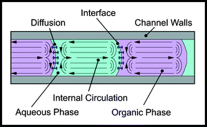 Illustration of internal circulation generated within immiscible slug flow.