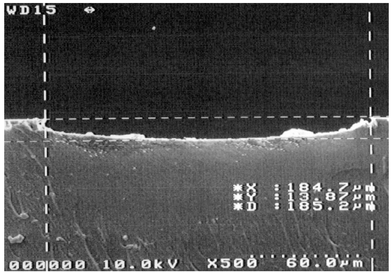 
          SEM image of cross section of the channel on PDMS.
        