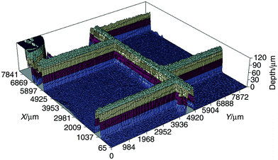 
            3D profile image of a 7 × 7 mm area of the channel network of chip 1. The image was recorded using RB as the dye (non-RI matched).
          