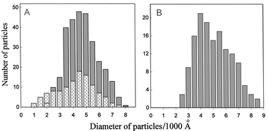 
            Size distribution for the DNA (two sets of experiments (A)) and poly(I)×poly(C) (B) LCD crosslinked by polymeric chelate bridges.
          