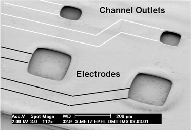 
            SEM image of the active area of a microelectrode with recording/stimulation electrodes (200 × 200 μm2) and fluidic outlets (100 × 100 μm2) for local delivery of a bioactive fluid with good spatial resolution. The embedded channels and metallization lines are not visible in the picture. Their position has been illustrated by drawing black and white lines on the picture.
          